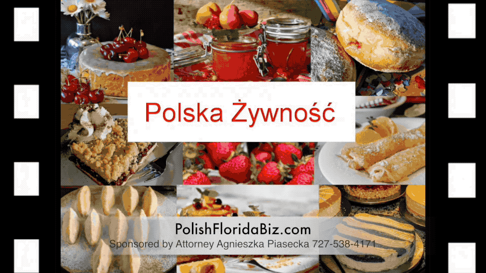 Polish Florida Polski Polska Floryda GIF